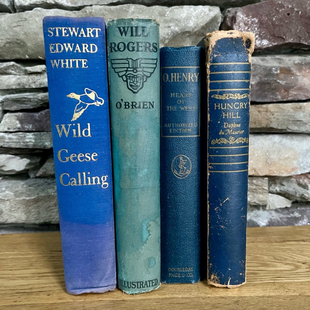Vintage Blue Books, Set of 4, Library Academia Decor